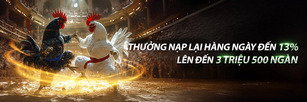 Đá Gà Trực Tiếp CPC3